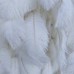 Lofaris 3D White Feather Wall Bridal Shower Party Backdrop