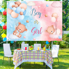 Lofaris (7 Day Delivery) Bear Pink Or Blue Baby Shower Backdrop