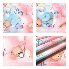 Lofaris (7 Day Delivery) Bear Pink Or Blue Baby Shower Backdrop