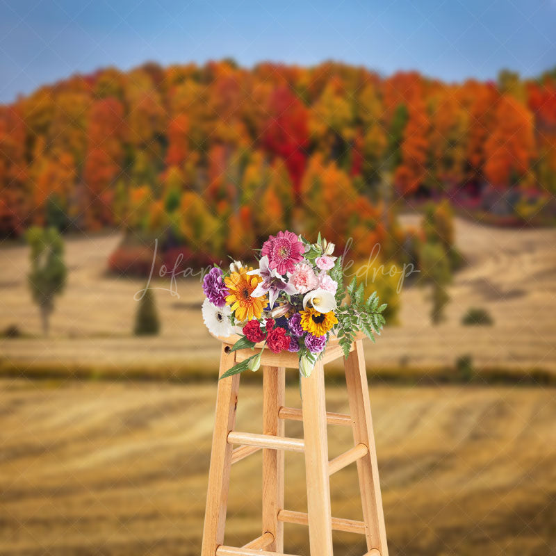 Lofaris Autumn Forest Colorful Natural Landscape Backdrop