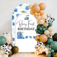 Lofaris Berry First Birthday Double Sided Arch Backdrop