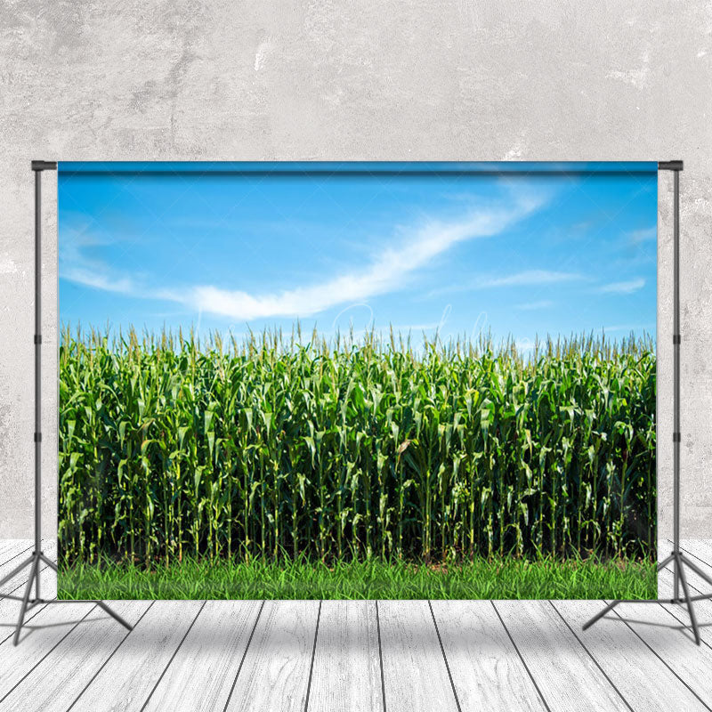 Lofaris Blue Sky Green Cornfield Summer Backdrop For Photo