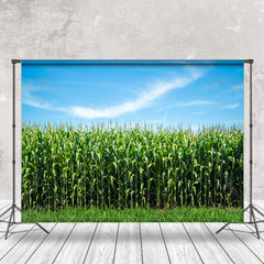 Lofaris Blue Sky Green Cornfield Summer Backdrop For Photo