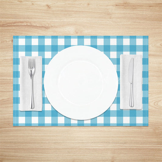 Lofaris Bright Blue White Plaid Modern Set Of 4 Placemats