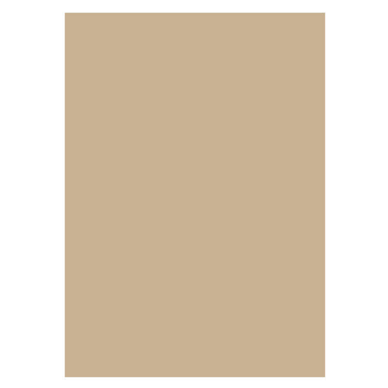 Lofaris Burlywood Tan Solid Brown Photoshoot Studio Backdrop