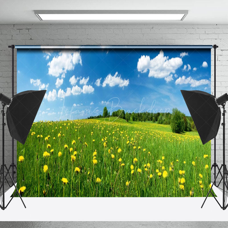 Lofaris Chrysanthemum Cloudless Day Sky Green Spring Backdrop