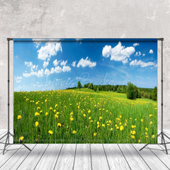 Lofaris Chrysanthemum Cloudless Day Sky Green Spring Backdrop