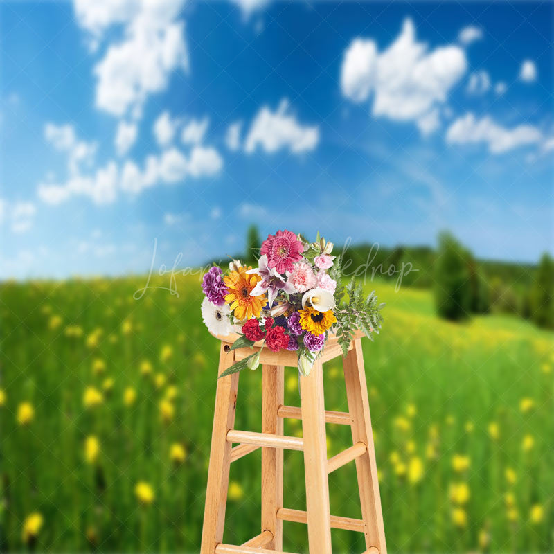 Lofaris Chrysanthemum Cloudless Day Sky Green Spring Backdrop