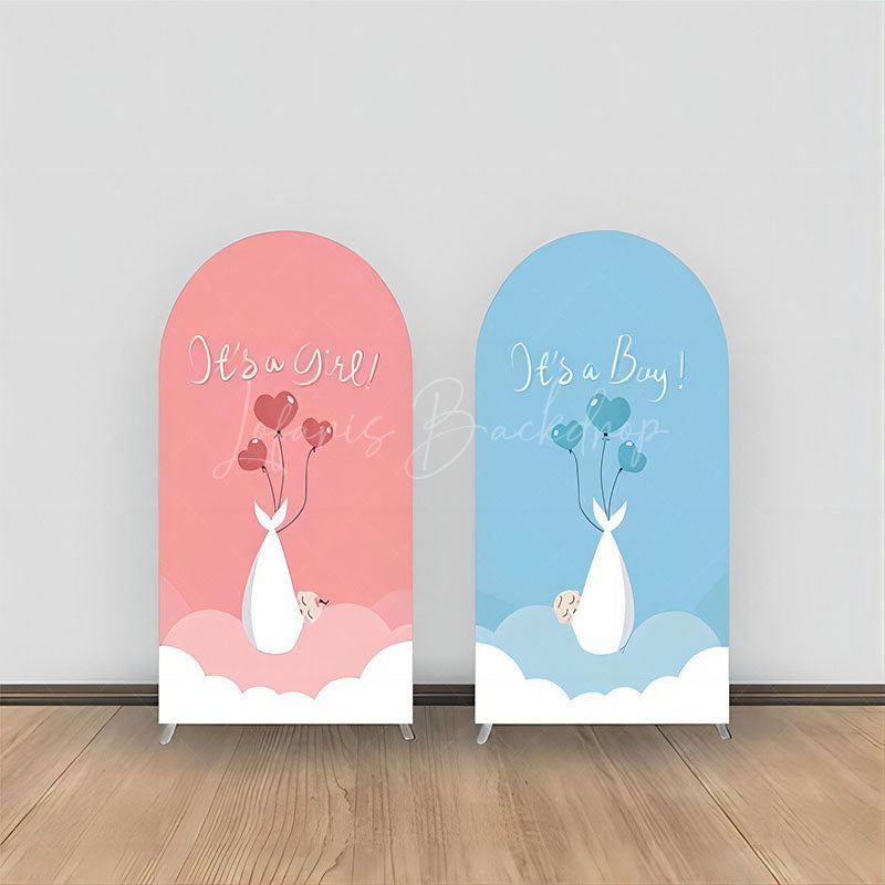 Lofaris Clouds Pink Blue Balloons Baby Shower Arch Backdrop