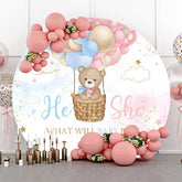 Lofaris Clould Hot Balloon Bear Round Gender Reveal Backdrop