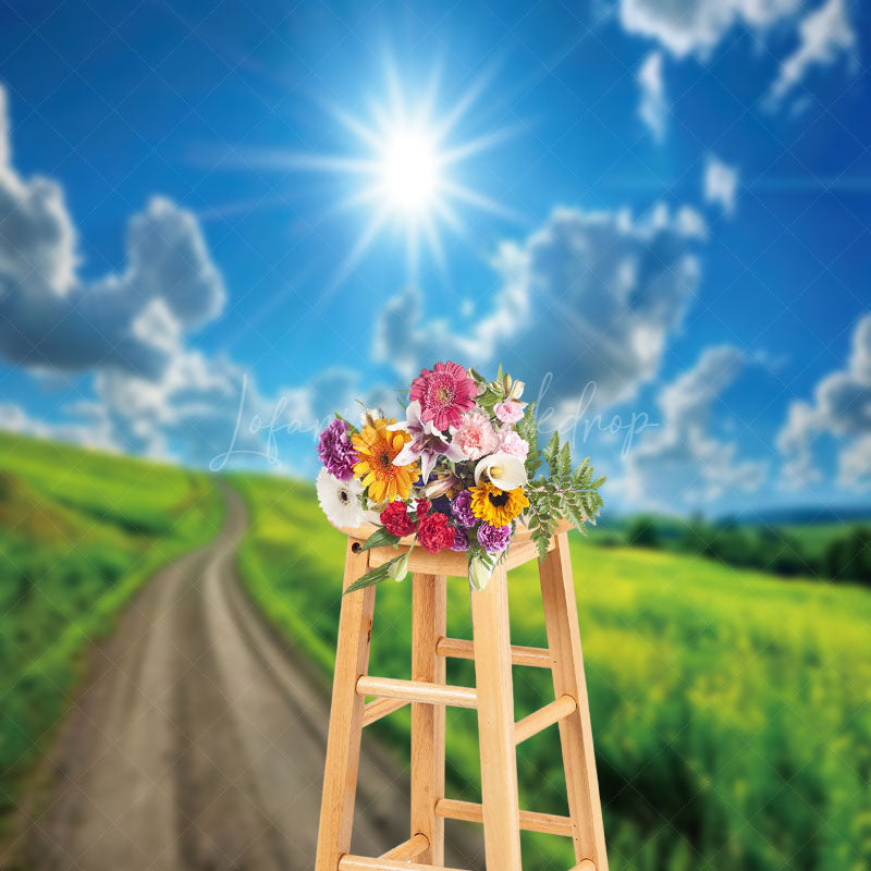 Lofaris Country Road Sunshine Blue Sky Spring Backdrop