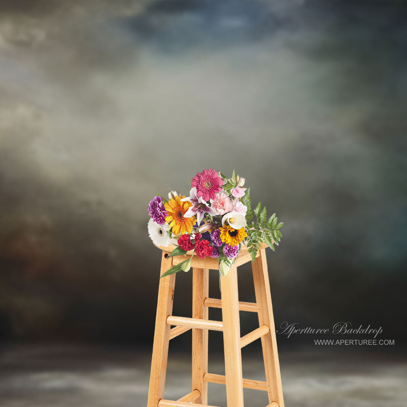 Lofaris Dark Old Master Country Portrait Photo Backdrop