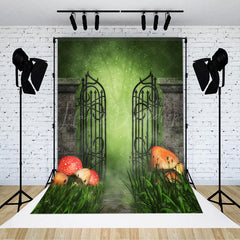 Lofaris Foggy Grass Gate Mushroom Spring Photoshoot Backdrop