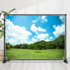 Lofaris Fresh Green Field Forest Sunny Day Spring Backdrop