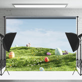 Lofaris Grass Lawn Eggs Rabbit Easter Spring Scene Backdrop