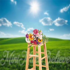 Lofaris Grassland Blue Sky Cloud Spring Backdrop For Photo