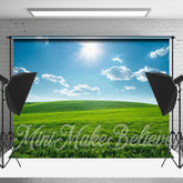 Lofaris Grassland Blue Sky Cloud Spring Backdrop For Photo