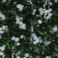 Lofaris Green Leaves White Flower Artificial Party Decor