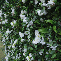 Lofaris Green Leaves White Flower Artificial Party Decor