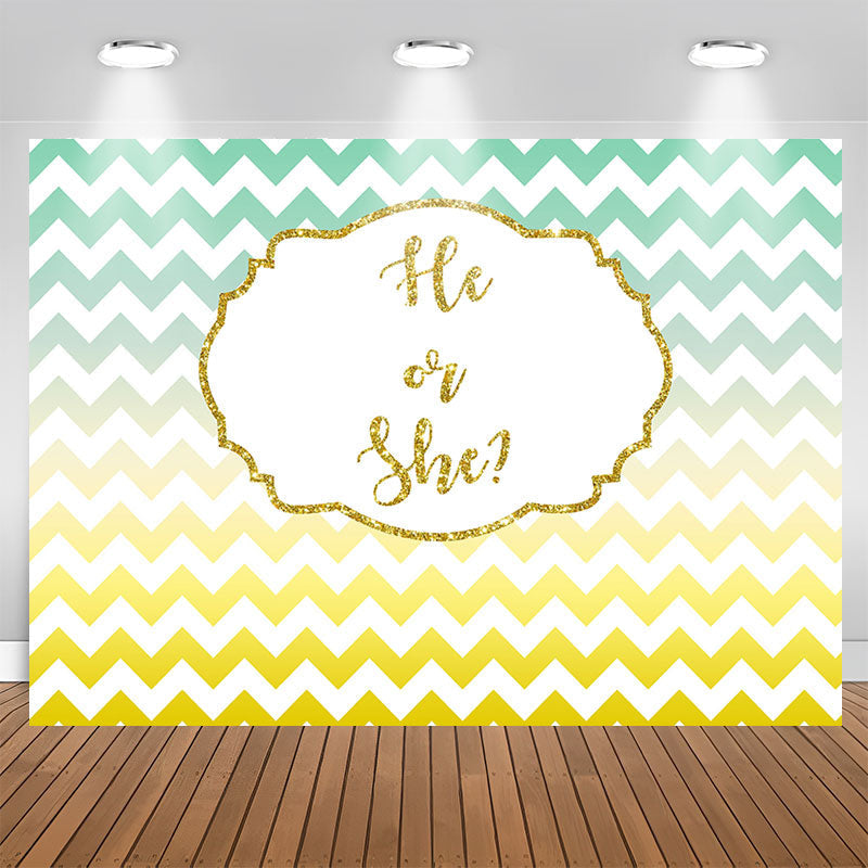 Lofaris He Or She Gradient Wave Stripe Gender Reveal Backdrop