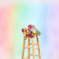 Lofaris Light Rainbow Gradient Bokeh Photography Backdrop