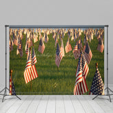 Lofaris American Flags Standing Grassland Mourn Backdrop