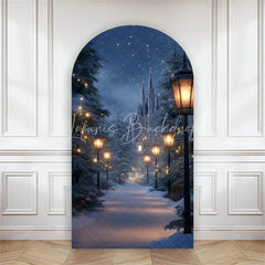 Lofaris Arch Backdrop Winter Night Street Lamp Snow Cover Magical Blue Forest Path Chiara Wall Background Christmas Decor