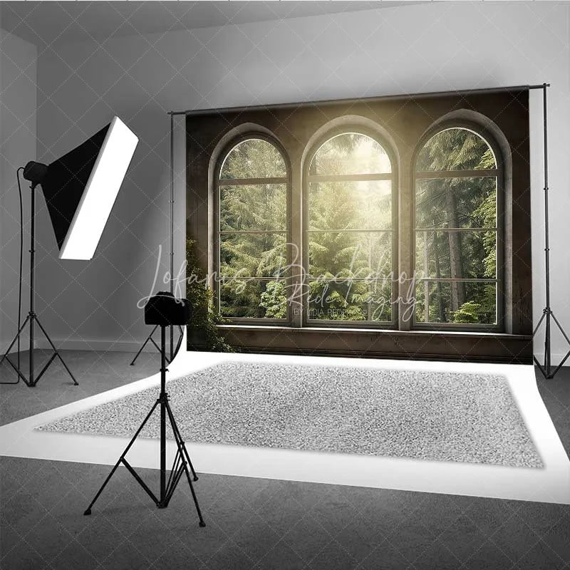 Lofaris Arched Window Forest View Photography Backdrop Sunlight Green Woods Nature Photo Background Indoor Scenery Booth Prop