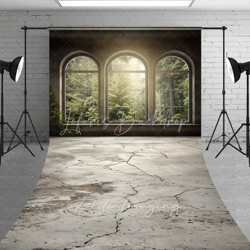 Lofaris Arched Window Forest View Sweep Photo Backdrop Sunlight Green Woods Nature Background Indoor Scenery Floor Prop
