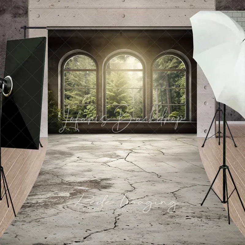 Lofaris Arched Window Forest View Sweep Photo Backdrop Sunlight Green Woods Nature Background Indoor Scenery Floor Prop