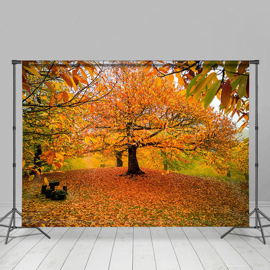 Lofaris Autumn Deciduous Forest Warm Photography Backdrop