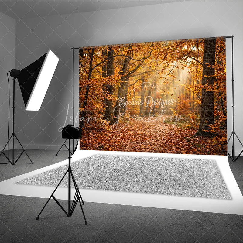 Lofaris Autumn Forest Path Photography Backdrop with Golden Sunlight and Falling Leaves Natural Scenery