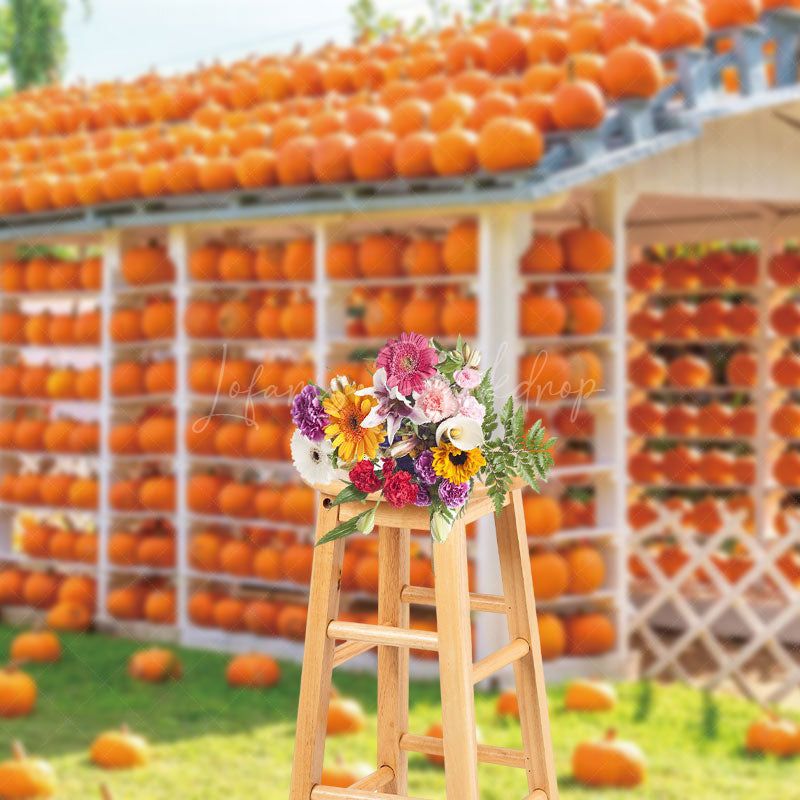 Lofaris Autumn Pumpkin House Sunshine Photography Backdrop