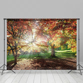Lofaris Autumn Sunshine Forest Warm Photography Backdrop
