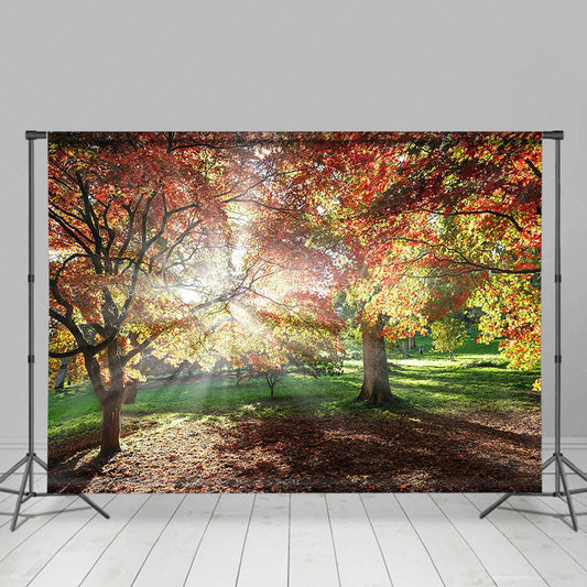 Lofaris Autumn Sunshine Forest Warm Photography Backdrop