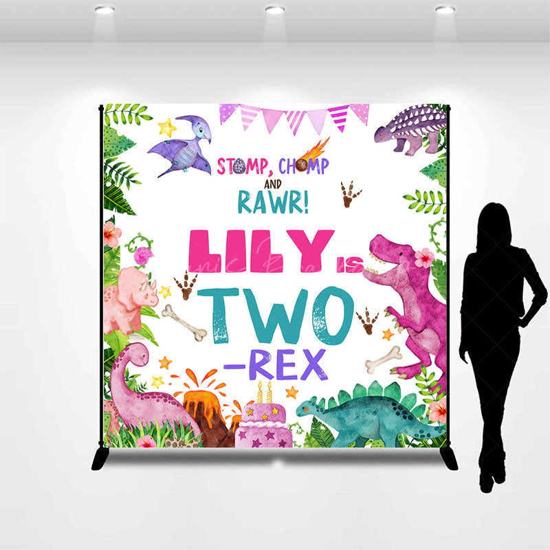 Lofaris Baby Dinosaur Two Rex Custom Name Birthday Backdrop