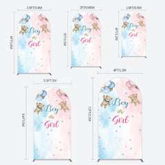 Lofaris Balloon Teddy Baby Shower Gender Reveal Arch Backdrop