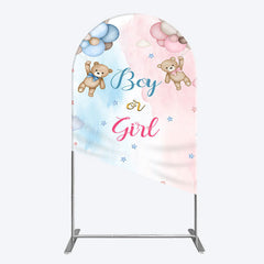Lofaris Balloon Teddy Baby Shower Gender Reveal Arch Backdrop