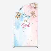 Lofaris Balloon Teddy Baby Shower Gender Reveal Half Moon Arch Backdrop