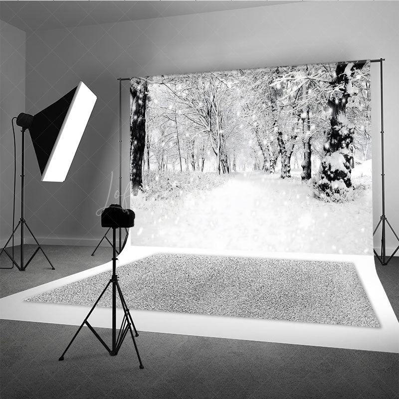 Lofaris Black and White Winter Forest Photography Backdrop Snowy Path Through the Trees Moody Holiday Photo Background