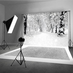 Lofaris Black and White Winter Forest Photography Backdrop Snowy Path Through the Trees Moody Holiday Photo Background