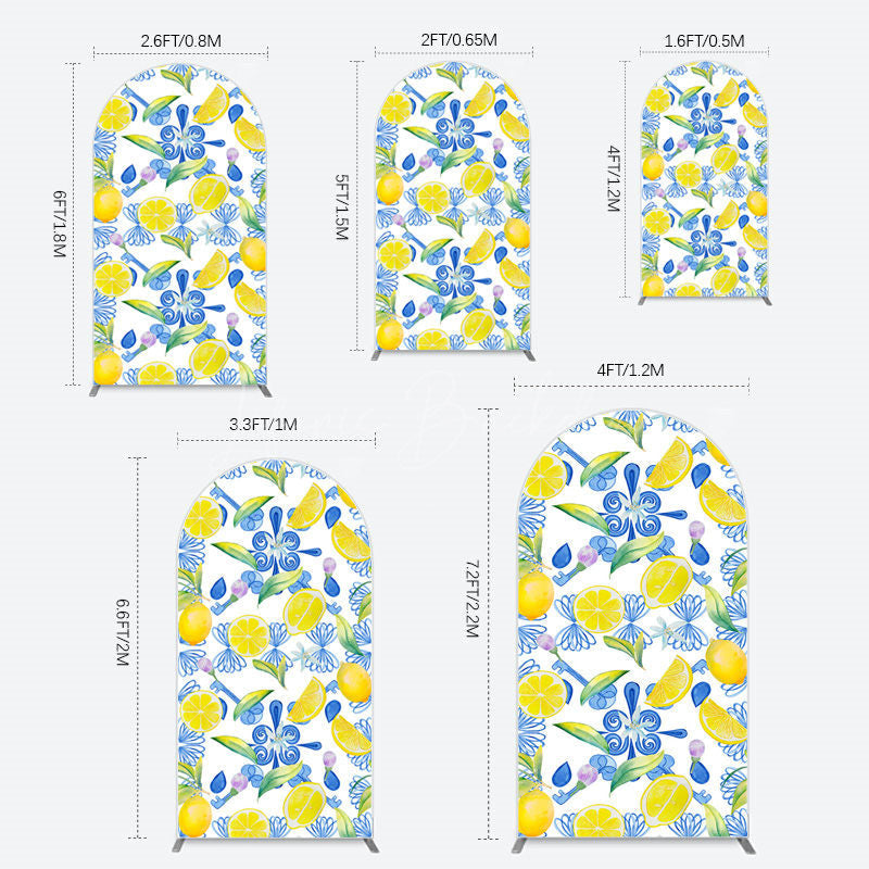 Lofaris Blue White Mediterranean Lemon Birthday Arch Backdrop