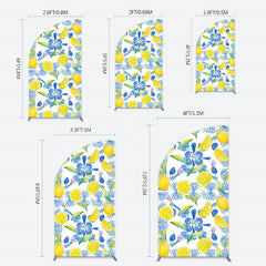 Lofaris Blue White Mediterranean Lemon Birthday Half Moon Arch Backdrop
