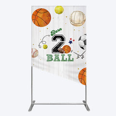 Lofaris Born 2 Ball Boy Birthday Party Rectangle Backdrop