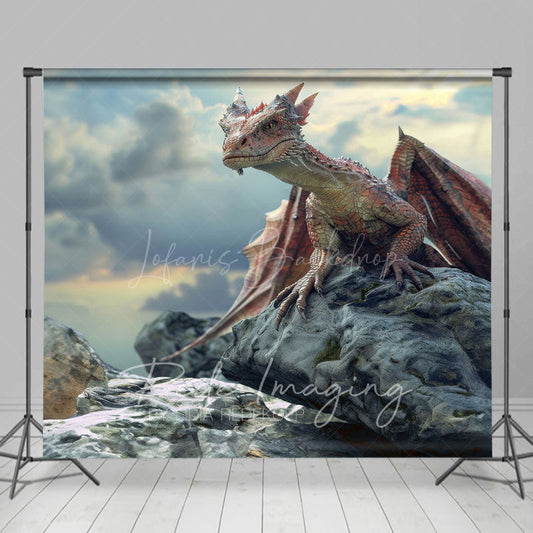 Lofaris Cloud Sky Rocks Welsh Dragon Natural Scene Backdrop