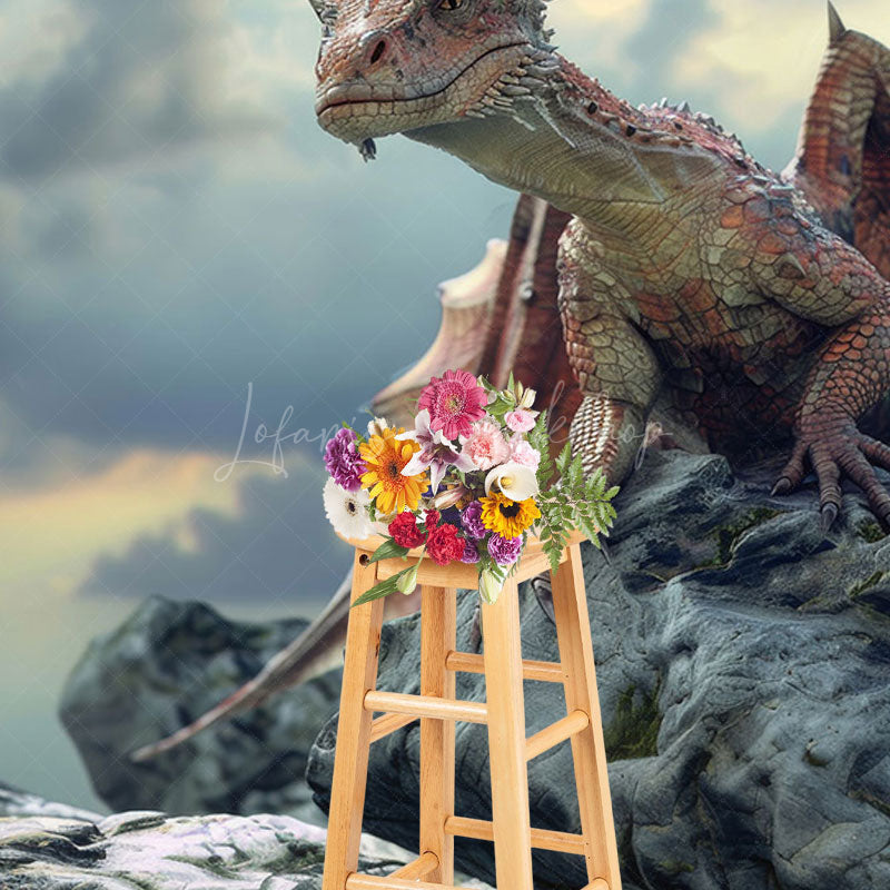 Lofaris Cloud Sky Rocks Welsh Dragon Natural Scene Backdrop
