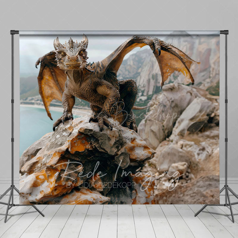 Lofaris Coast Rocks Welsh Dragon Natural Scene Photo Backdrop