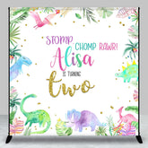 Lofaris Color Baby Dinosaur Custom Name 2nd Birthday Backdrop