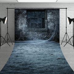 Lofaris Creepy Window with Spiderwebs Sweep Backdrop Grungy Haunted House Wall Spooky Halloween Themed Portraits