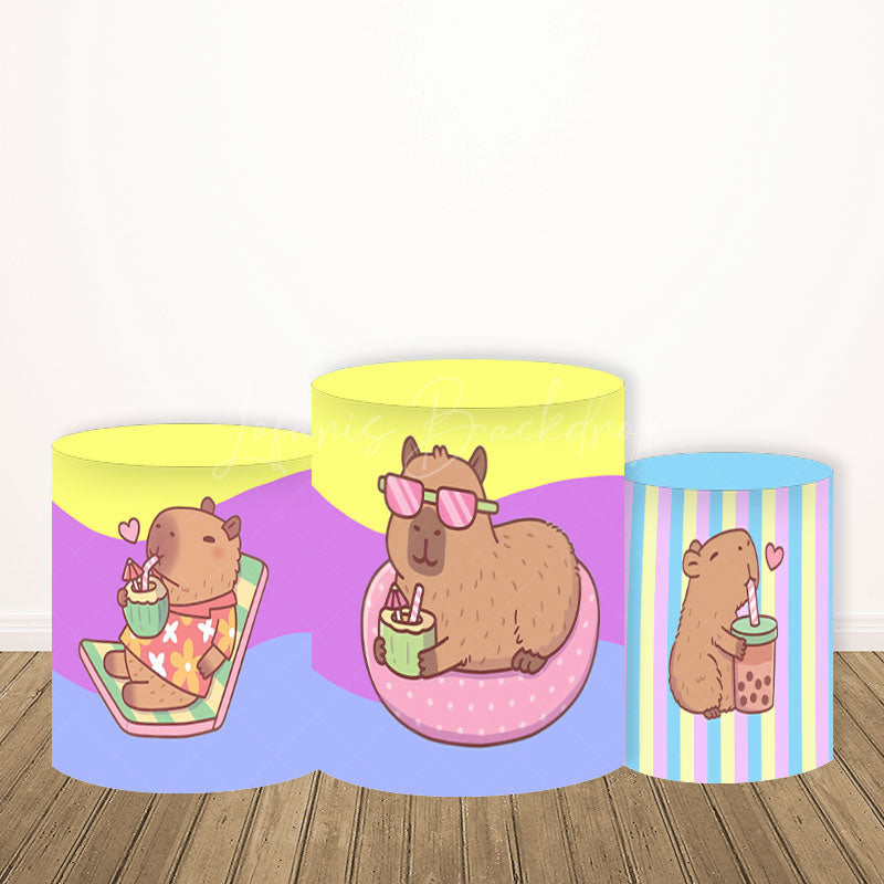 Lofaris Cute Capybara Birthday Party Round Backdrop Kit Pastel Rainbow and Cake Kawaii Animal Theme for Kids Decor